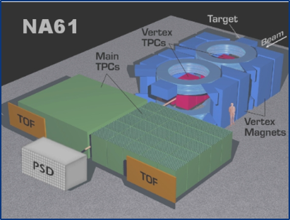 VERTEX Magnet